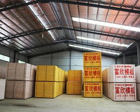 探尋江蘇建筑模板領(lǐng)軍廠家 富欣木業(yè)制品廠的實(shí)力與優(yōu)勢(shì)